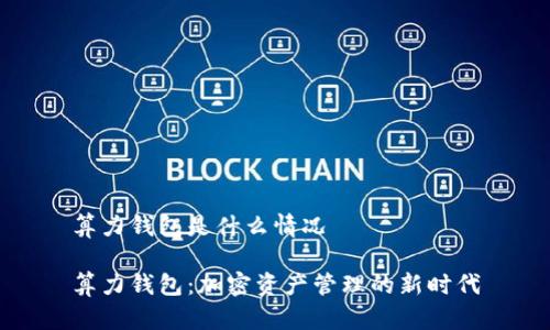 算力钱包是什么情况

算力钱包：加密资产管理的新时代