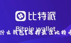 优质  买比特币用什么钱包