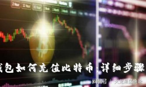 电子钱包如何充值比特币：详细步骤与技巧