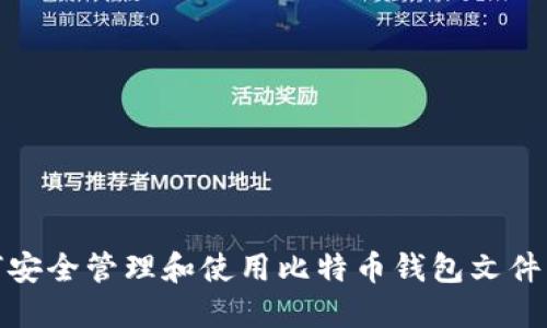 如何安全管理和使用比特币钱包文件实例
