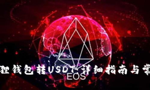 如何往小狐狸钱包转USDT：详细指南与常见问题解答