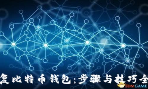   
私钥恢复比特币钱包：步骤与技巧全面解析