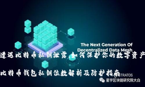 遭遇比特币私钥泄露，如何保护你的数字资产

比特币钱包私钥位数解析及防护指南