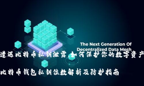 遭遇比特币私钥泄露，如何保护你的数字资产

比特币钱包私钥位数解析及防护指南