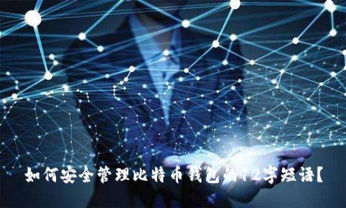 如何安全管理比特币钱包的12字短语？