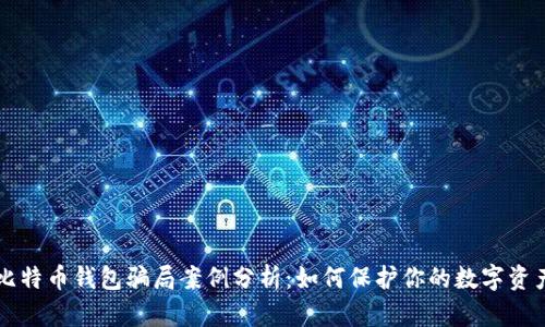 比特币钱包骗局案例分析：如何保护你的数字资产