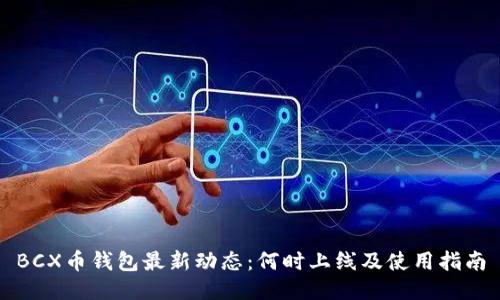 BCX币钱包最新动态：何时上线及使用指南