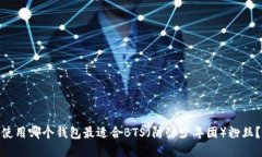 使用哪个钱包最适合BTS（