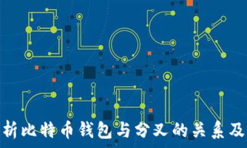   
全面解析比特币钱包与分叉的关系及其影响
