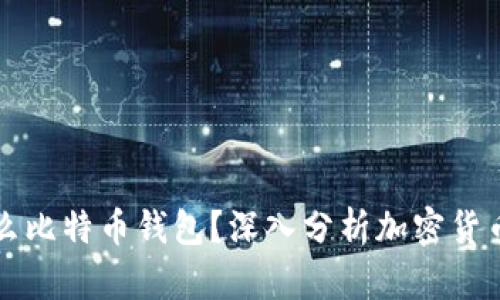 李晨用什么比特币钱包？深入分析加密货币安全选择