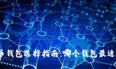 优质比特币钱包选择指南：哪个钱包最适合你？