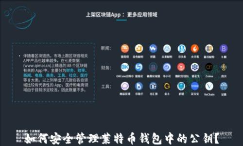 
如何安全管理莱特币钱包中的公钥？