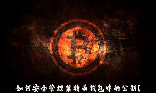 
如何安全管理莱特币钱包中的公钥？