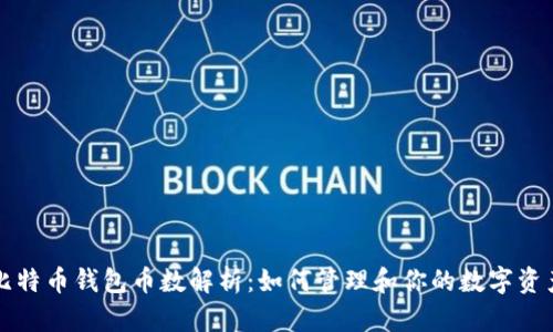 比特币钱包币数解析：如何管理和你的数字资产