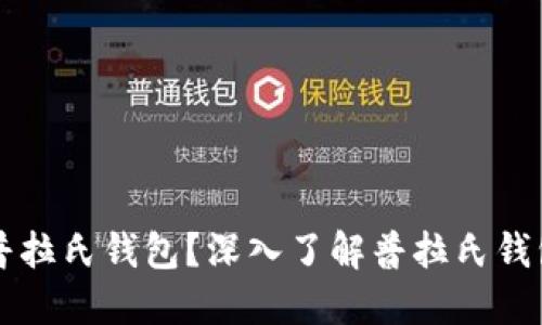 什么是区块链普拉氏钱包？深入了解普拉氏钱包的特点与应用