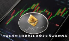 什么是莱特币轻钱包？如