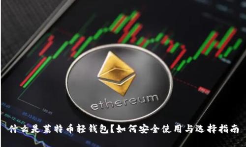 什么是莱特币轻钱包？如何安全使用与选择指南