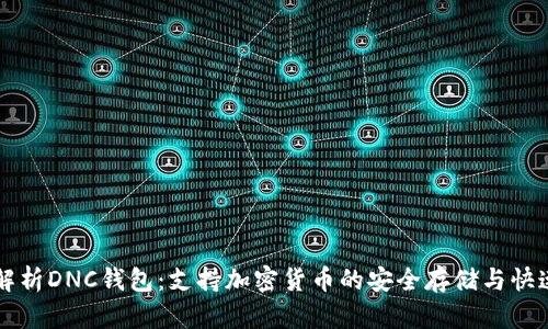 全面解析DNC钱包：支持加密货币的安全存储与快速交易
