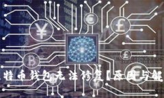 : 为什么比特币钱包无法修