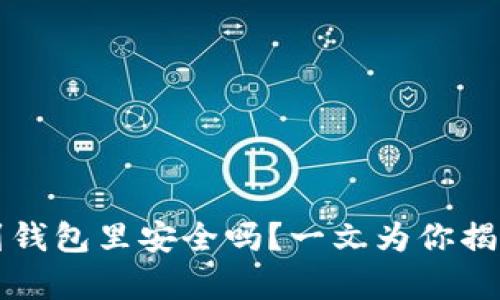 比特币下载到钱包里安全吗？一文为你揭示安全性分析