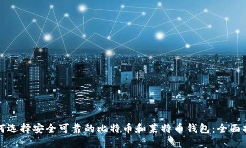 如何选择安全可靠的比特币和莱特币钱包：全面指南