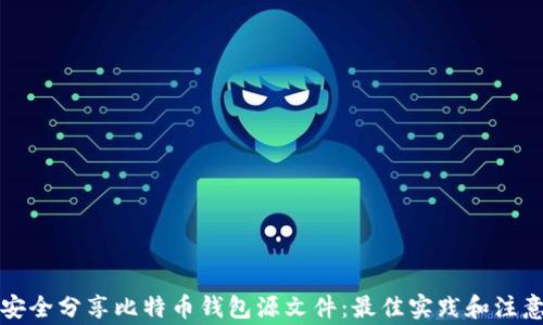 
如何安全分享比特币钱包源文件：最佳实践和注意事项