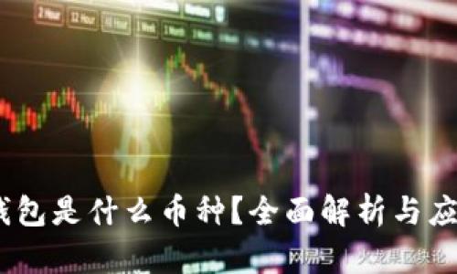 USDT钱包是什么币种？全面解析与应用指南