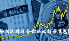 如何选择适合你的比特币