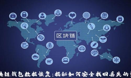 
区块链钱包数据恢复：揭秘如何安全找回丢失的资产