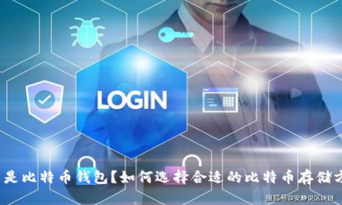 什么是比特币钱包？如何选择合适的比特币存储方式？