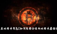 什么是比特币钱包？如何