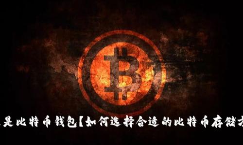 什么是比特币钱包？如何选择合适的比特币存储方式？