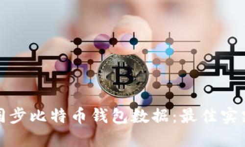 如何高效同步比特币钱包数据：最佳实践与小技巧