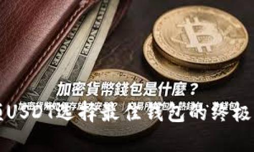 大额USDT选择最佳钱包的终极指南