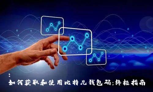 :
如何获取和使用比特儿钱包码：终极指南