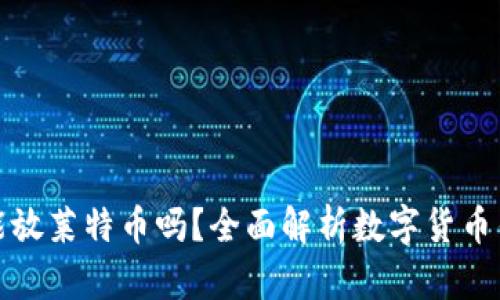比特币钱包能放莱特币吗？全面解析数字货币钱包的兼容性