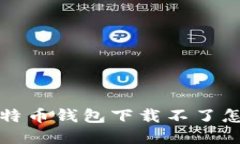 如何解决比特币钱包下载