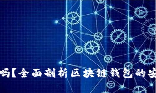 区块链钱包安全吗？全面剖析区块链钱包的安全性与防护措施