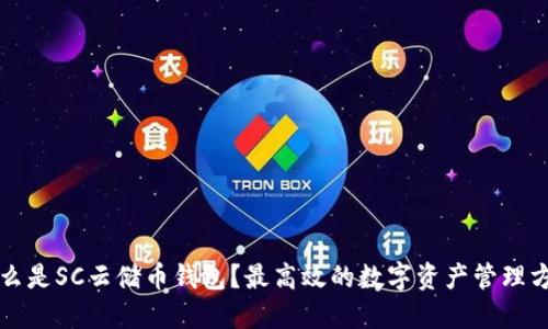 什么是SC云储币钱包？最高效的数字资产管理方式