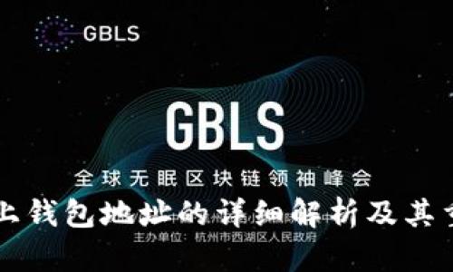 币君上钱包地址的详细解析及其重要性