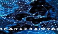 比特币钱包在什么文件夹