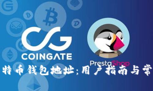 如何查看莱特币钱包地址：用户指南与常见问题解答