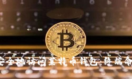  如何安全地访问莱特币钱包：终端命令指南