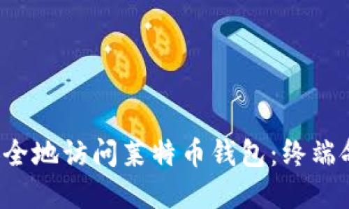  如何安全地访问莱特币钱包：终端命令指南