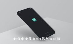 如何安全导出Bit钱包的私