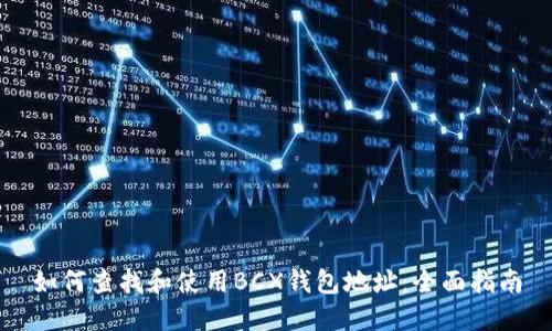 如何查找和使用BCX钱包地址：全面指南