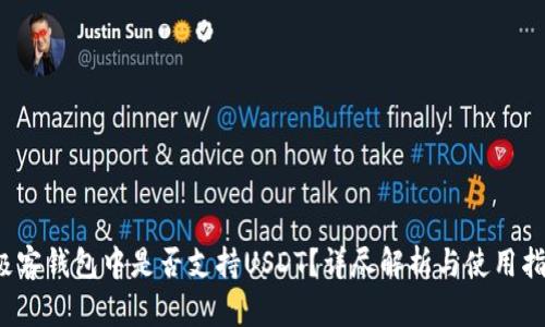  极客钱包中是否支持USDT？详尽解析与使用指南