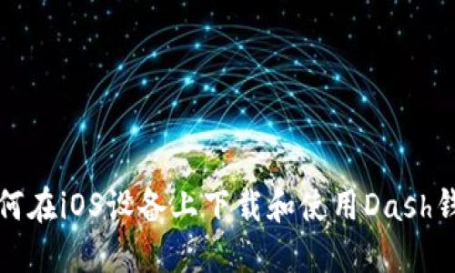 如何在iOS设备上下载和使用Dash钱包