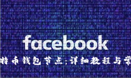 如何部署比特币钱包节点：详细教程与常见问题解答