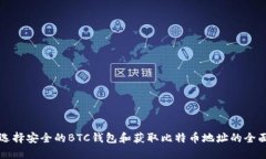 如何选择安全的BTC钱包和